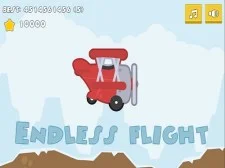 Endless Flight